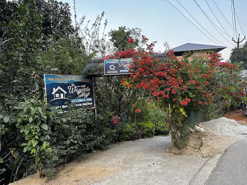 The Wayside Cottage Munnar - The Wayside Cottage Munnar kunchithanni, federal bank junction, Munnar, Kunchithanny, Kerala 685565, India