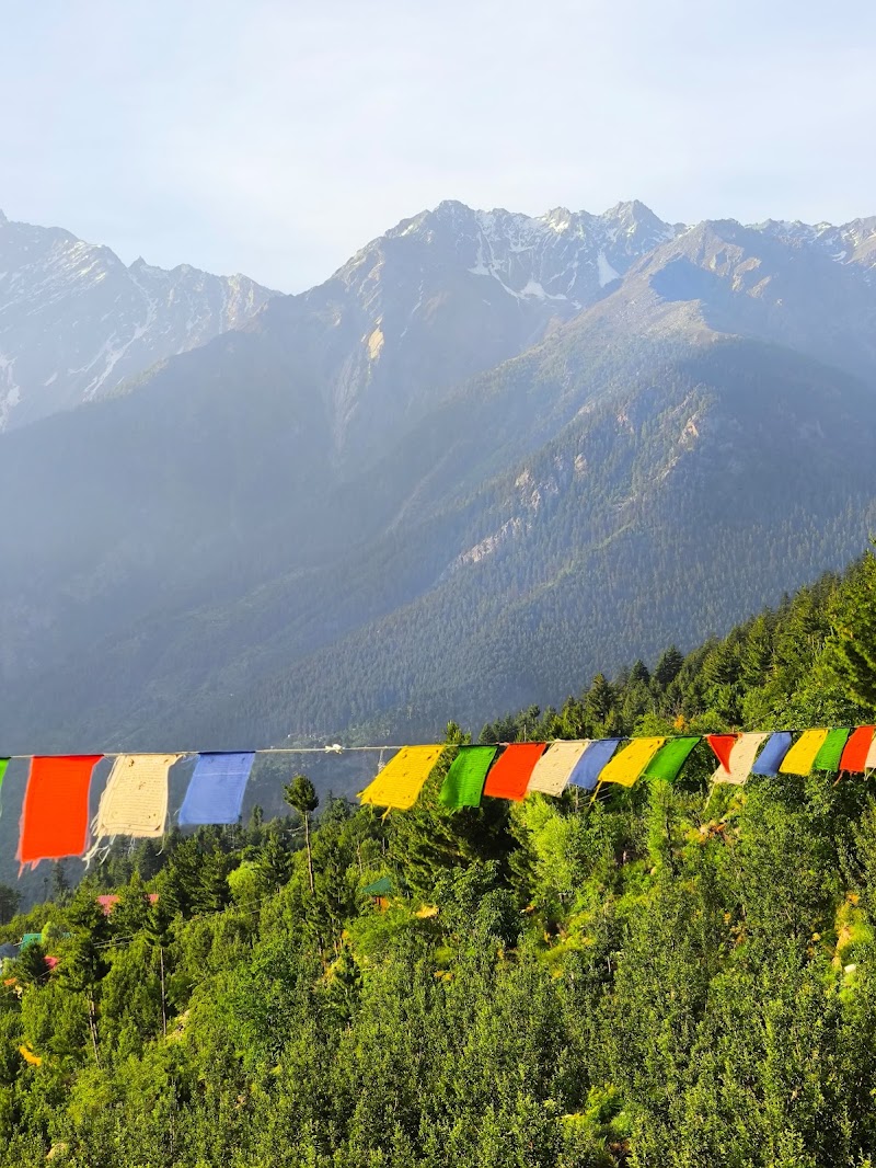 Paradise Homestay Kalpa - Paradise Homestay Kalpa Rakpa, House number 56, Kalpa, Saryo, Himachal Pradesh 172108, India