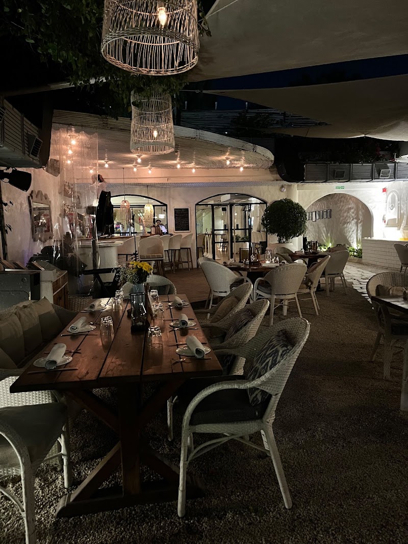 Olive Café & Bar - Olive Café & Bar SCO 3, Ground floor, Back entry, Sector 26, Chandigarh, 160019, India