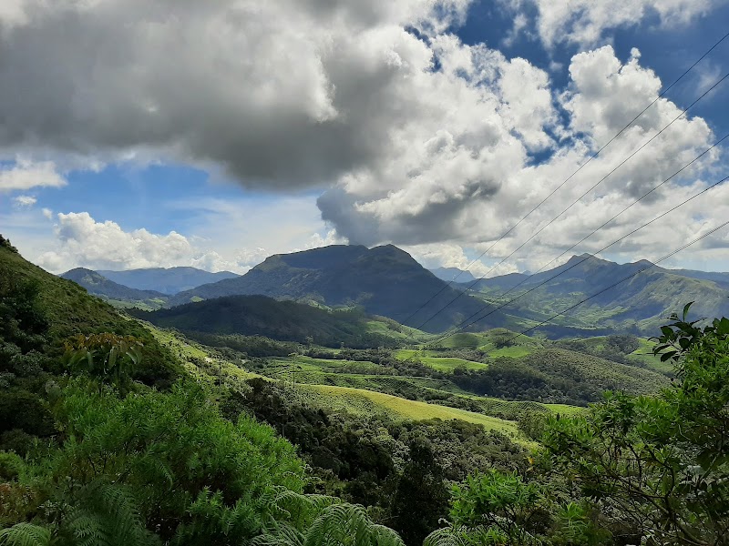 Eravikulam National Park - Eravikulam National Park Kannan Devan Hills, Kerala 685612, India