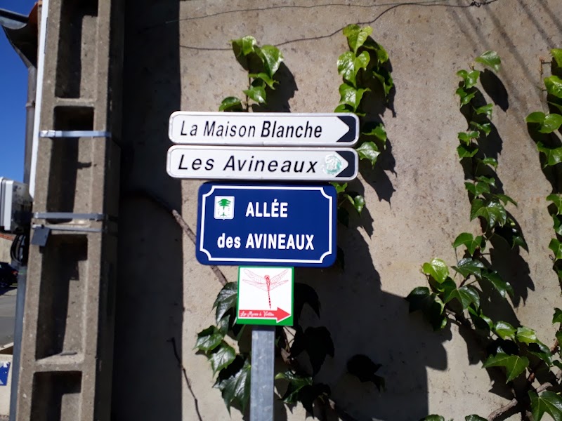 Gite Sèvre et Maine - Gite Sèvre et Maine 1 Les Avineaux, 44120 Vertou, France