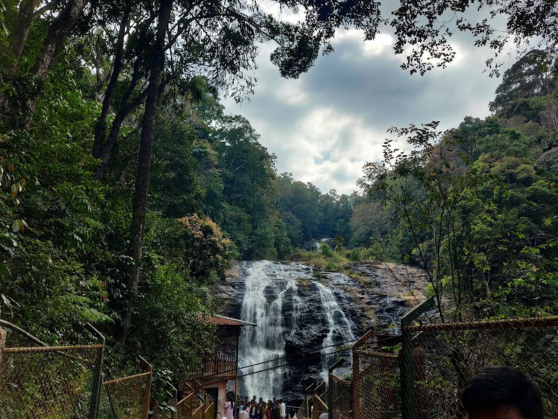 Coorg Travel Stay and Coorg Travel Guide - Coorg Travel Stay and Coorg Travel Guide CQHC+FGH, Ibnivalvadi Rural, Karnataka 571237, India