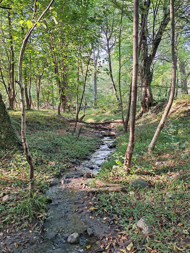 Swimming spot - Swimming spot, R7JM+98C, Lagodekhi, Georgia