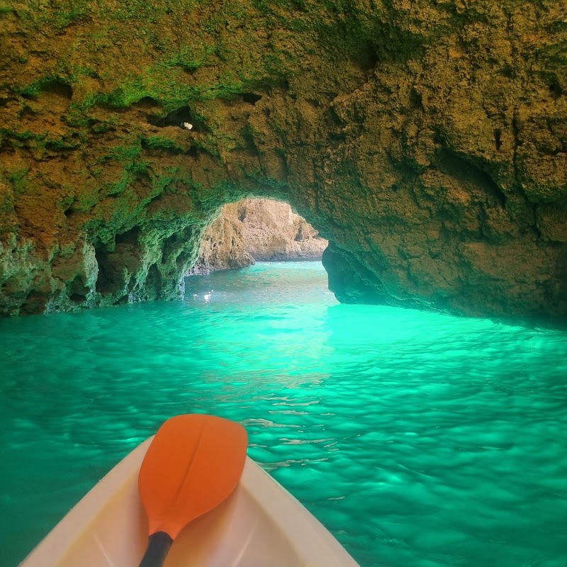 Ponta da Piedade Tours - Ponta da Piedade Tours, Marina de Lagos, Estr. de São Roque Loja nº 10, 8600-315 Lagos, Portugal
