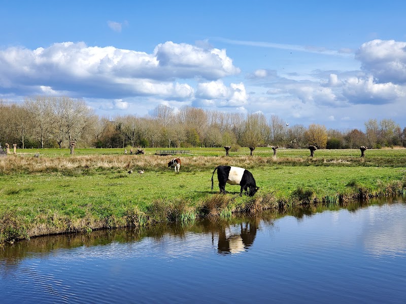 Polderpark Cronesteyn - Polderpark Cronesteyn, Polderpad 8, 2322 LB Leiden, Netherlands