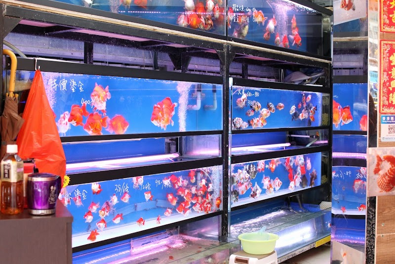 Ocean World Aquarium - Ocean World Aquarium 207號 Tung Choi St, Prince Edward, Hong Kong