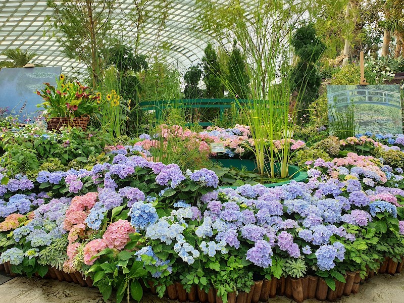 Flower Dome - Flower Dome 18 Marina Gardens Dr, Singapore 018953