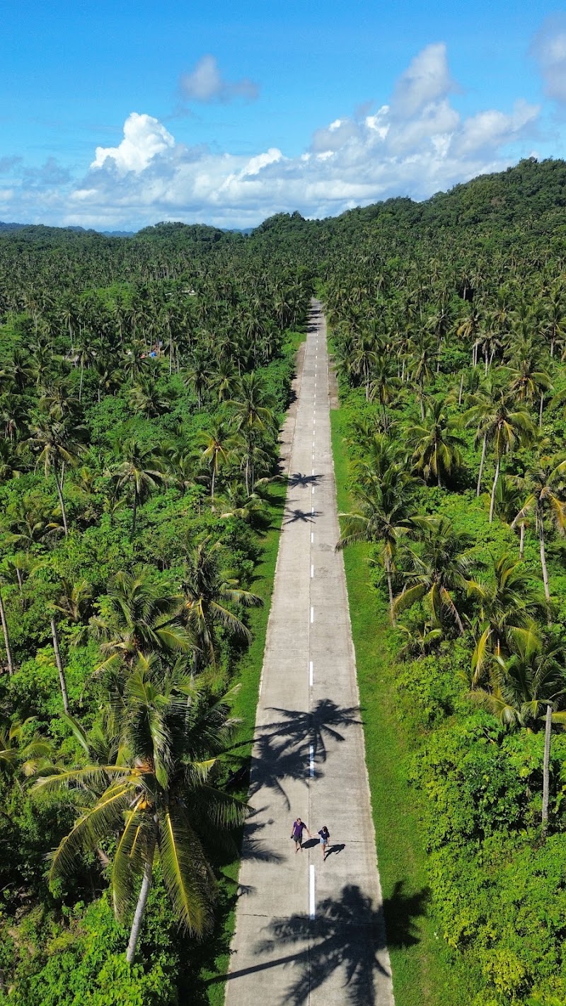 Coconut Road - Coconut Road, R383+RWW, Siargao Circumferential Rd, Pilar, Surigao del Norte, Philippines