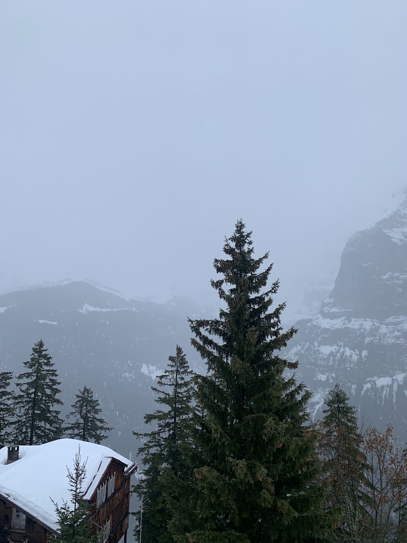 Hotel Alpenblick Mürren - Hotel Alpenblick Mürren Ägerten 1078A, 3825 Mürren, Switzerland