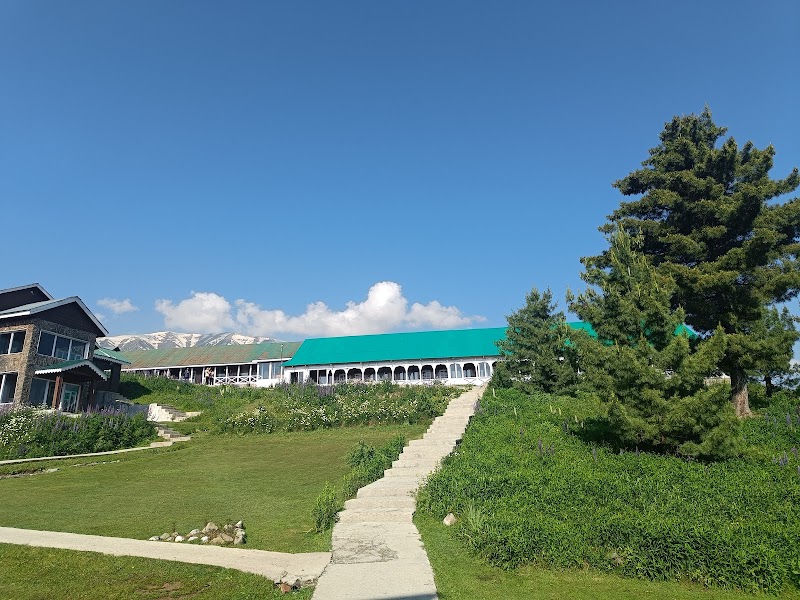 Hotel Nedou's - Hotel Nedou's Ski Institute Rd, opp. Gulmarg Golf Club, Gulmarg, Forest Block, 193403