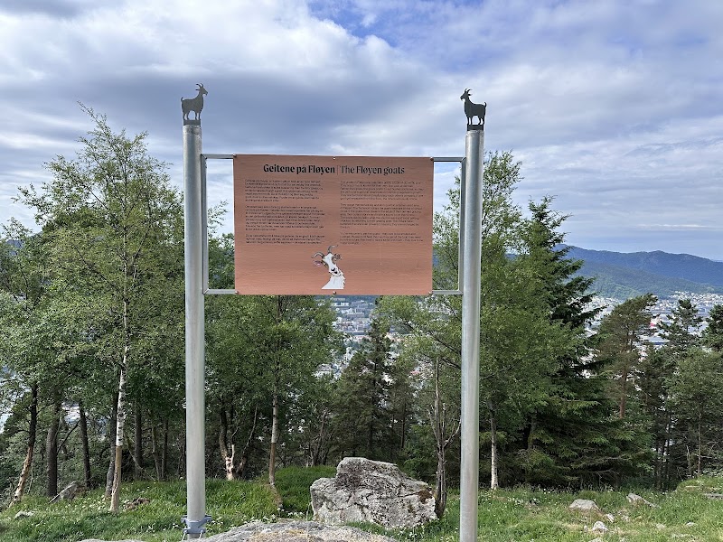 Utsiktspunkt - Utsiktspunkt, Byfjellene 20, 5014 Bergen, Norway