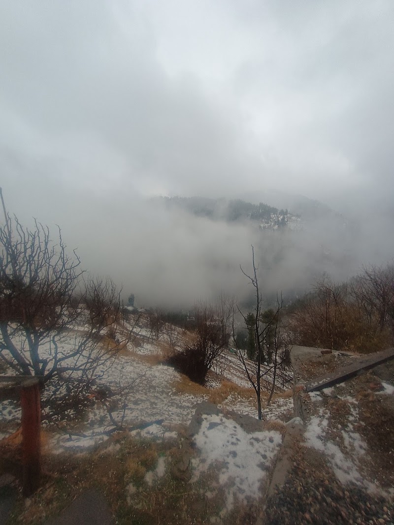 The Vibes Homestay - The Vibes Homestay, Post office, Gadagushain, Gadagusshain, Shukad, Himachal Pradesh 175123, India
