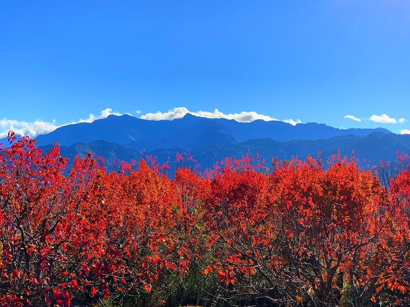 Xiaoliyuanshan Lookout - Xiaoliyuanshan Lookout Xinyi Township, Nantou County, Taiwan 605
