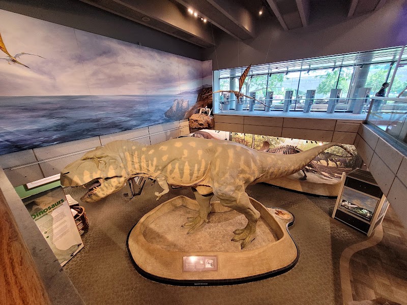 Museum of Science - Museum of Science, 1 Science Pk, Boston, MA 02114, USA