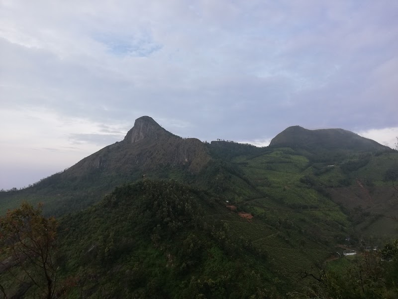 Suryanelli Tea Garden View Point - Suryanelli Tea Garden View Point 3688+MX9, Suryanelli-Kolukkumalai Tea Estate Road, Suryanelli, Kerala 685618, India