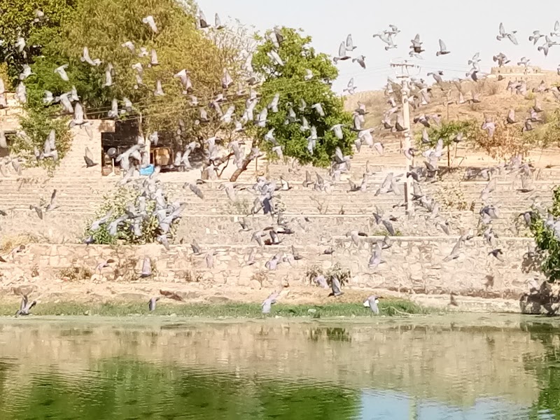 Chandpole Gate - Chandpole Gate Outside Chandpol Gate, Police Station, Kabir Nagar, Jodhpur, Rajasthan 342024, India