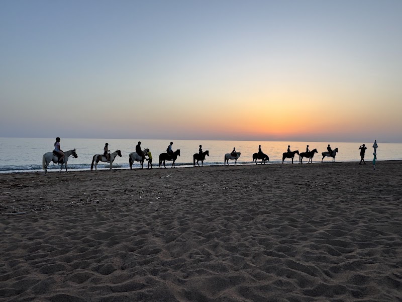 Elea Horse Riding - Elea Horse Riding, EO Pirgou Kiparissias, ΚΥΠΑΡΙΣΣΙΑ 245 00, Greece