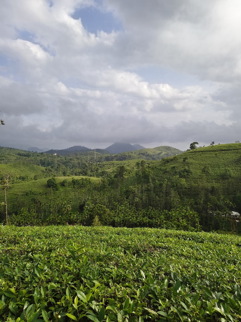 Nilgiri hills view point - Nilgiri hills view point Nelliyalam, Nadugani, Tamil Nadu 643211, India