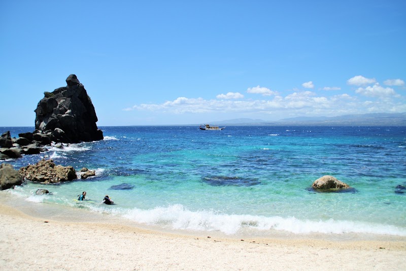 Apo Island Pano Collects, Philippines - Apo Island Pano Collects, Philippines, 37H8+G7R, Dauin, Negros Oriental, Philippines
