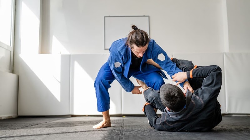 MMA TIGERS Martial Arts Delhi. - MMA TIGERS Martial Arts Delhi., matro pillar no.499 4B/1, 110018, near Bank of Baroda, Block 4B, Tilak Nagar, New Delhi, Delhi, 110018, India