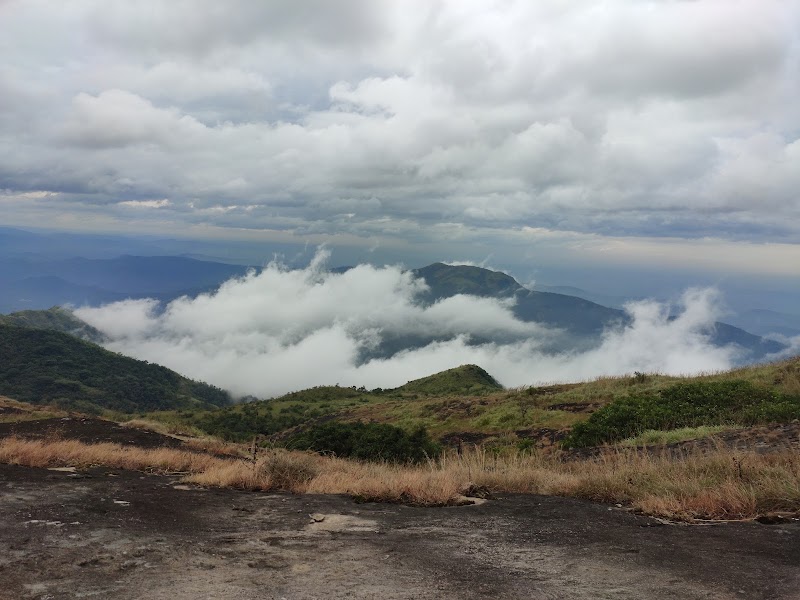 Eagle View Point - Eagle View Point PV8Q+V79, Pullikkanam - Elappara Road, Keralam 685503, India