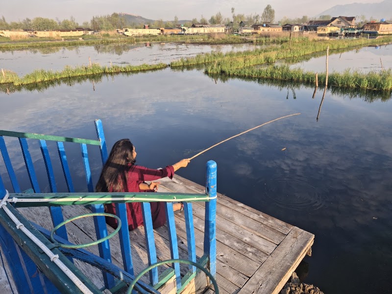 Houseboat Wild Rose - Dal Lake -Best Houseboat in Srinagar ,Kashmir - Houseboat Wild Rose - Dal Lake -Best Houseboat in Srinagar ,Kashmir, ghat no. 15, Nehru park, near floating post office, Karapura, Rainawari, Srinagar, 190003
