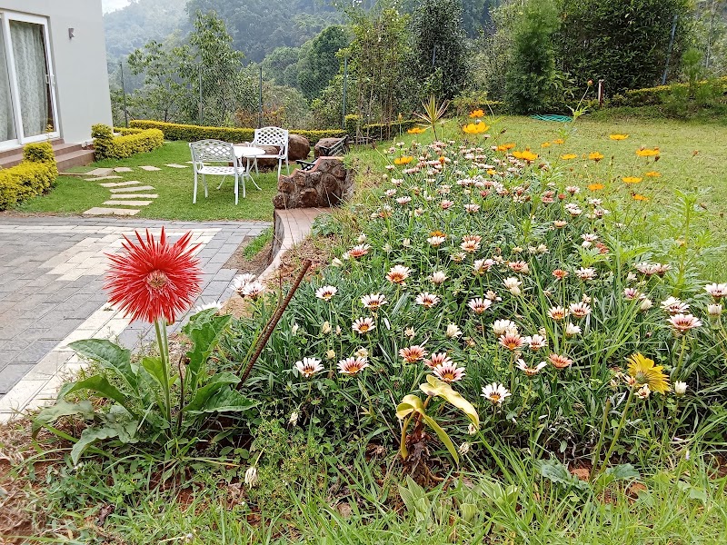 Moving Mist Villa - Moving Mist Villa 4/1E, Halakkarai Rd, Coonoor, Yedapalli, Tamil Nadu 643104, India