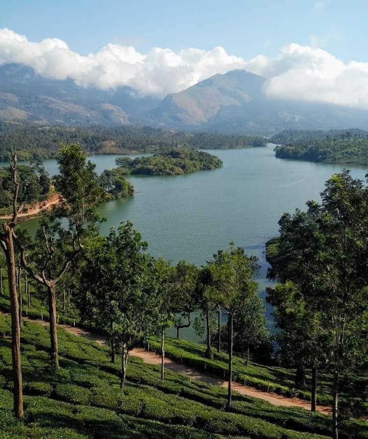 Mattupetty - Mattupetty, Munnar, Kerala 685612, India