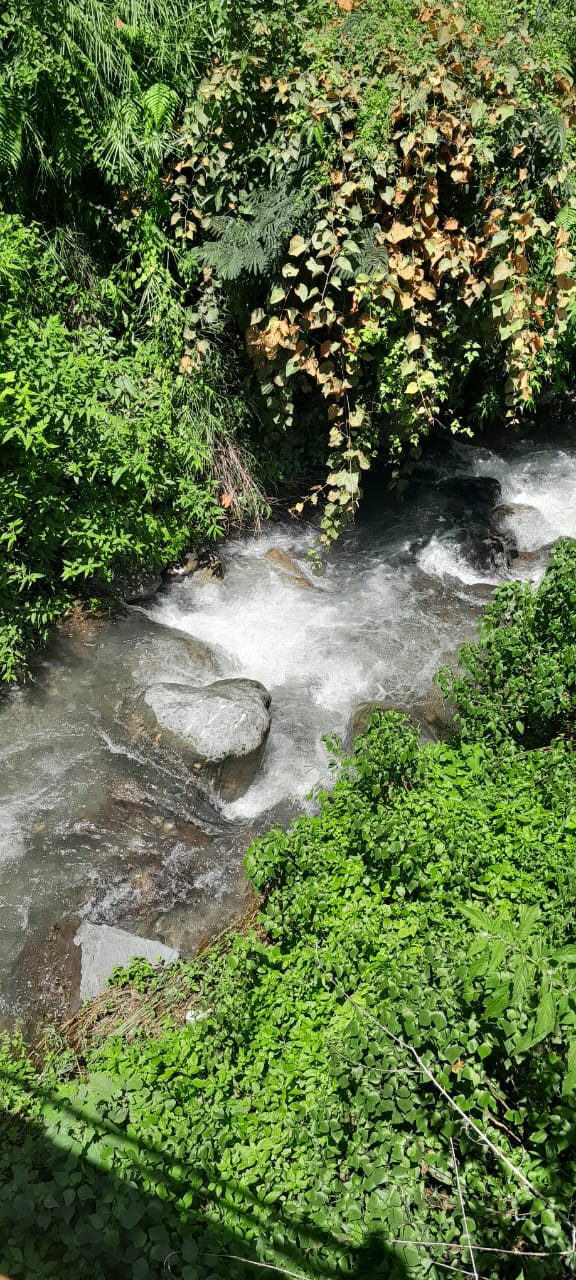 Tiger Fall - Tiger Fall Kanaser Range, Chakrata, Kanaser Range, Uttarakhand 248123, India