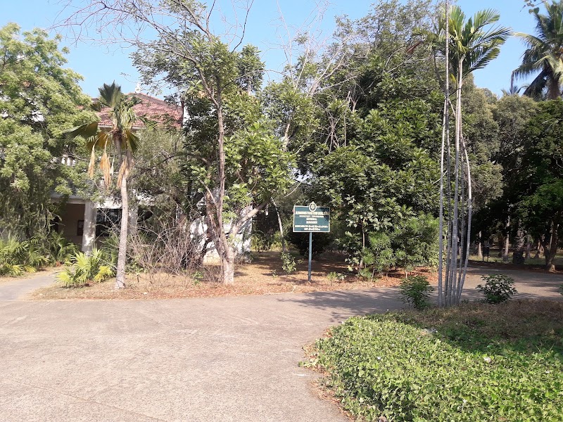 Theosophical Society Buddha Temple - Theosophical Society Buddha Temple, 2768+J52, Theosophical Society, Besant Nagar, Chennai, Tamil Nadu 600020, India