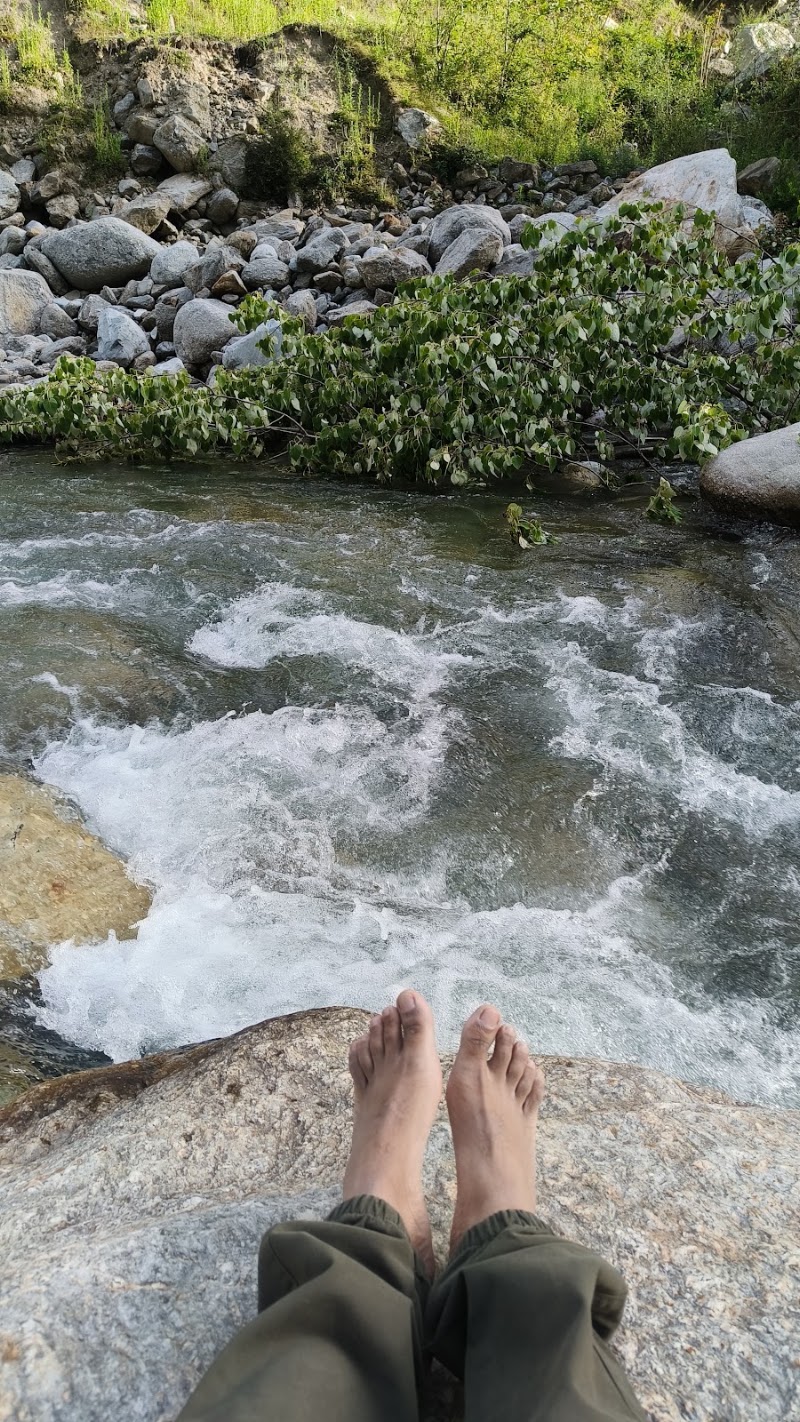 Tirthan River Front Farm Stay - Tirthan River Front Farm Stay near kangra Bank, Gushaini, Banjar, Himachal Pradesh 175123, India