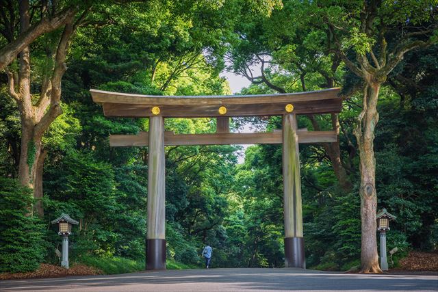 Meiji Jingu - Meiji Jingu 1-1 Yoyogikamizonochō, Shibuya, Tokyo 151-8557, Japan