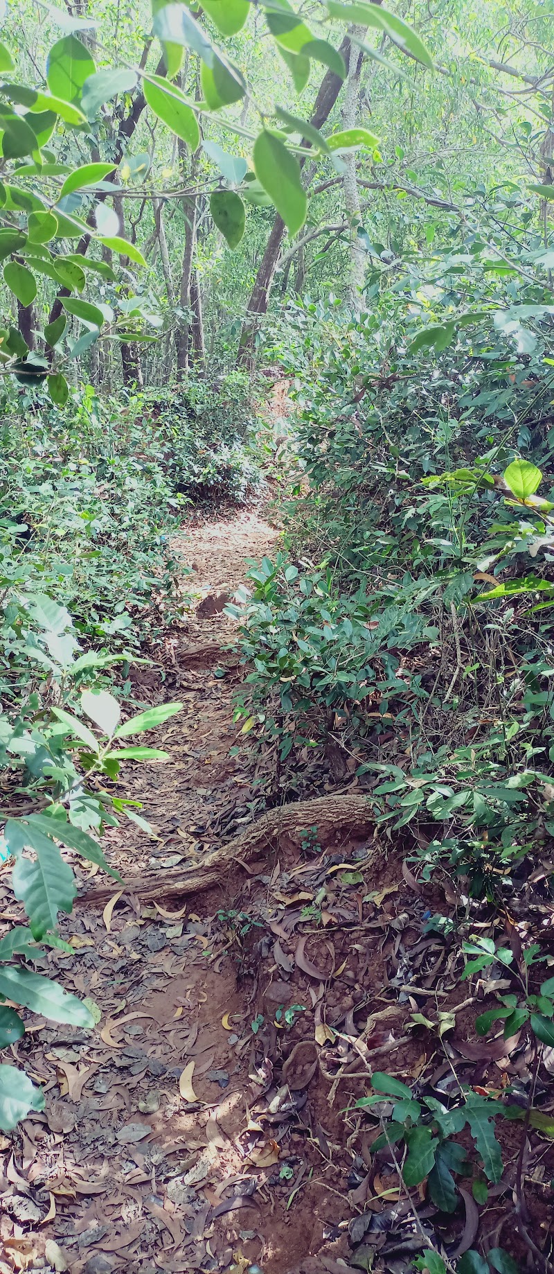 Paradise Beach Trail - Paradise Beach Trail Paradise Beach Trail, Gokarna, Karnataka, India