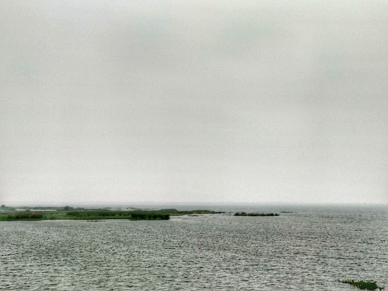Sarvepalli Reservoir - Sarvepalli Reservoir Sarvepalli Reservoir, Andhra Pradesh
