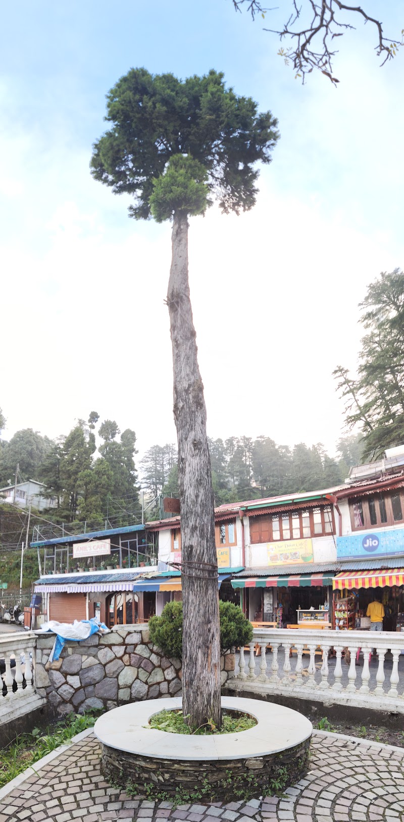 Landour