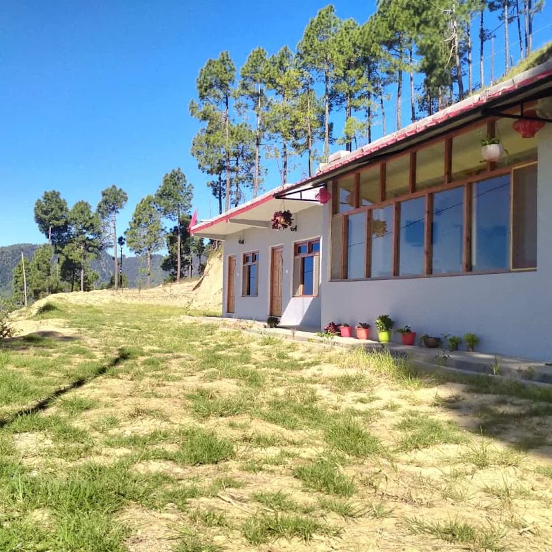 Odyssey Stays Binsar