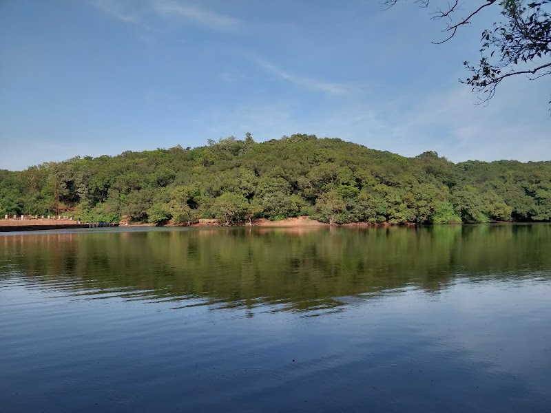 Matheran Waterfall - Matheran Waterfall 222, Neral - Matheran Rd, Matheran, Bekare, Maharashtra 410101, India