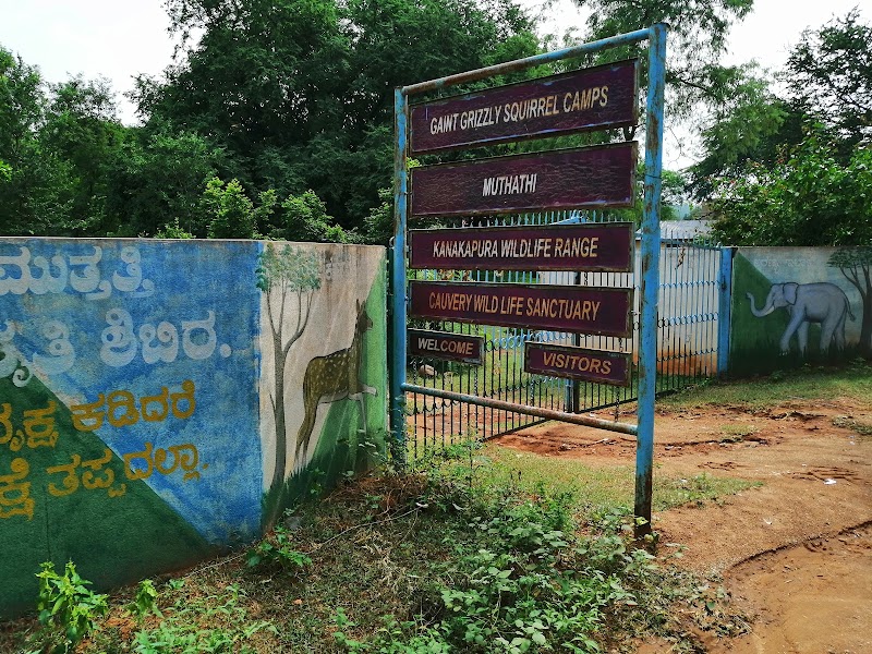Muthathi - Muthathi, 8857+8M6, Basavana Betta Forest, Karnataka 571421, India