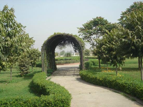 Tau Devi Lal Park