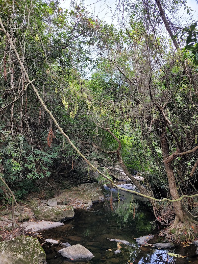 Bride's Pool Waterfall - Bride's Pool Waterfall, Shuen Wan, New Territories, Hong Kong