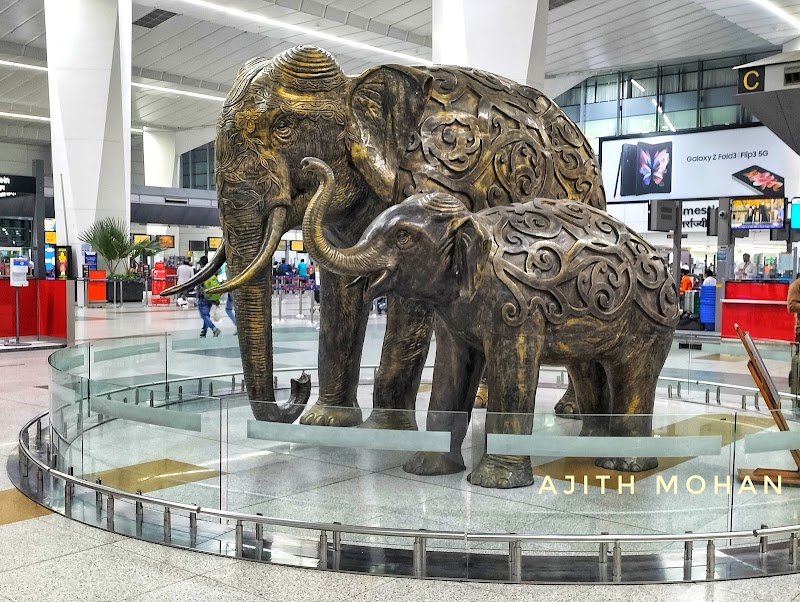 Terminal 3 - Terminal 3 Terminal 3, Delhi 110037
