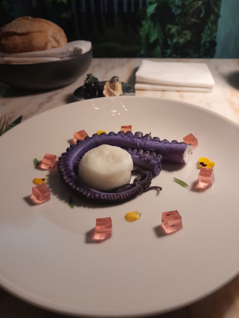Torero Restaurant - Torero Restaurant Ul. Ivana Tkalčića 84, 10000, Zagreb, Croatia
