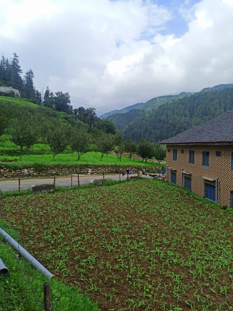 Hadimba Home Stay Janjehli