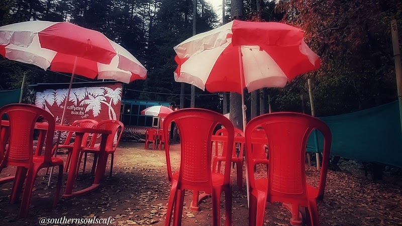Southern Souls ® Cafe (Pure Vegetarian) - Southern Souls ® Cafe (Pure Vegetarian) Beside Government Primary School, Hadimba Temple Rd / DPS Road, Near, Hadimba Temple, Siyal, Manali, Himachal Pradesh 175131, India