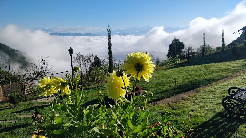The Bugyal Kanatal - The Bugyal Kanatal, 1 km, off Chamba - Mussoorie Road, Kanatal, Kaudia Range, Uttarakhand 249145, India