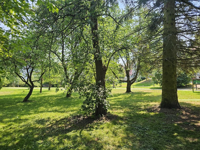 Deer Gardens - Deer Gardens, 381 01 Český Krumlov-Český Krumlov 1, Czechia