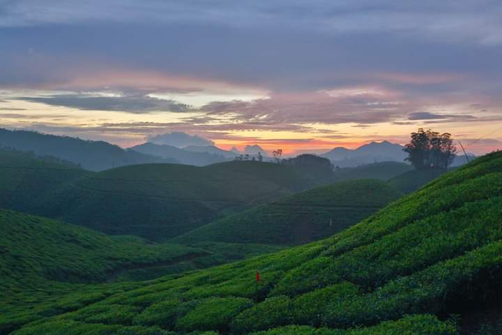 Munnar Hill Station (The Kashmir of South India) - Idukki District, Kerala, India - Munnar Hill Station (The Kashmir of South India) - Idukki District, Kerala, India 33Q5+HRC, Nullatanni, Munnar, Kerala 685612, India