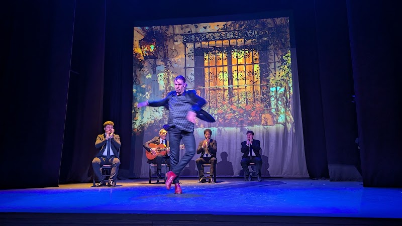 Teatro Flamenco Sevilla - Teatro Flamenco Sevilla C. Cuna, 15, Casco Antiguo, 41004 Sevilla, Spain