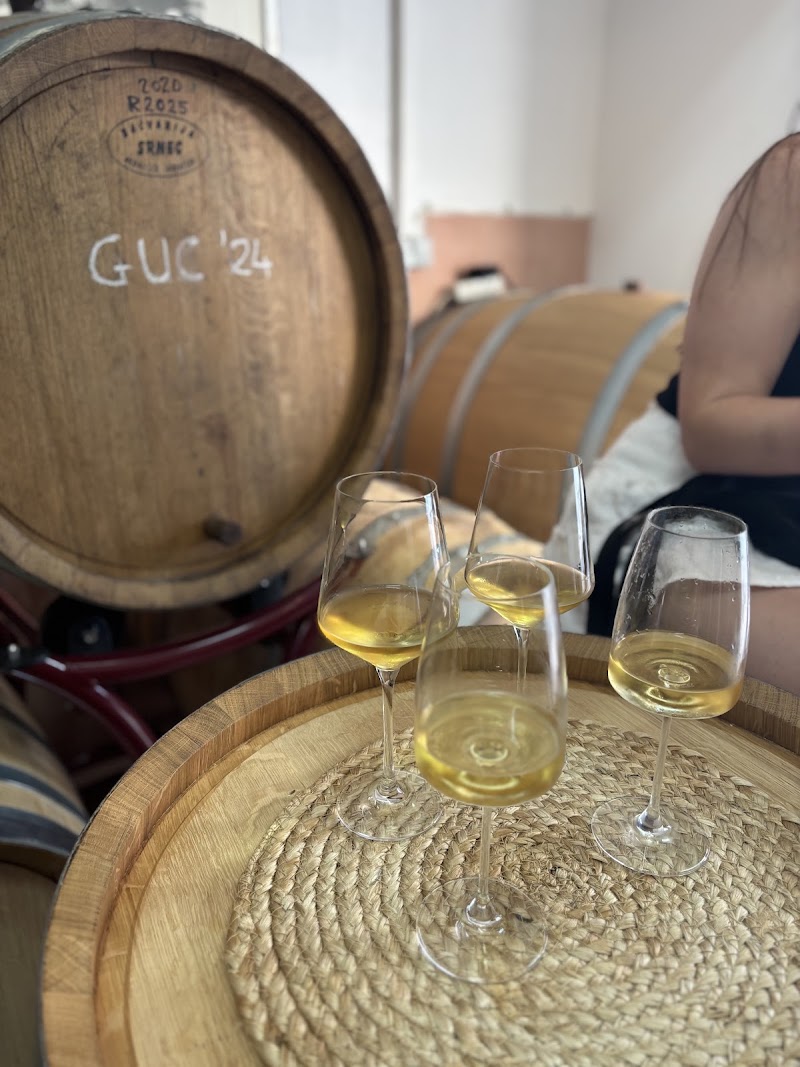 Ðilas Winery - Ðilas Winery, Šetalište Frana Kršinića, 20260, Korčula, Croatia
