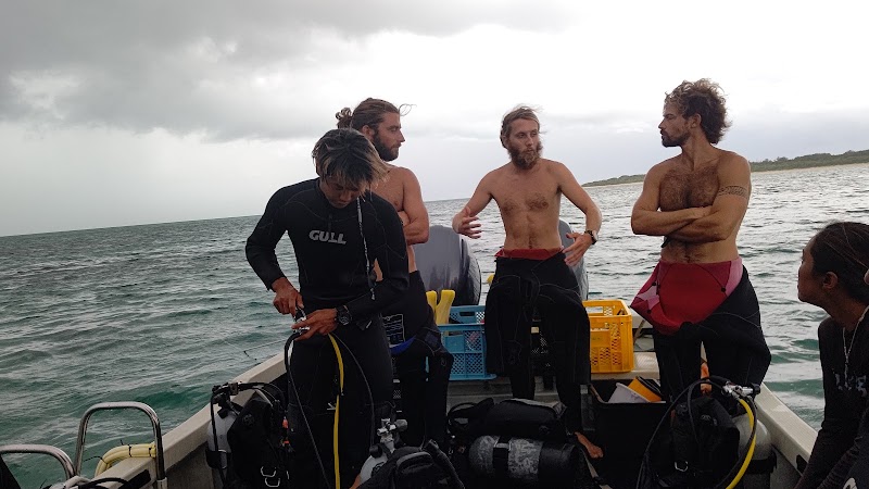 八重山Diving Service Field - 八重山Diving Service Field 1-chōme-14番地 Yashimachō, Ishigaki, Okinawa 907-0011, Japan